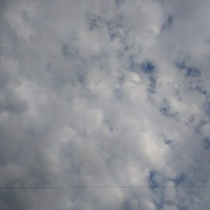 Meet your Posher, Jerry